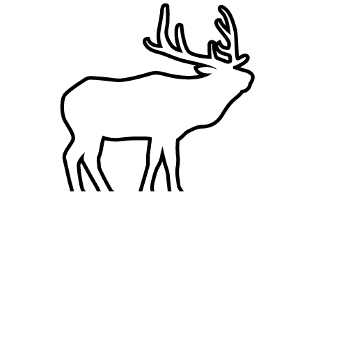 Be Wild N Free